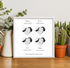 Personalized Family Roots Map - Customizer
