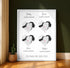 Personalized Family Roots Map - Customizer