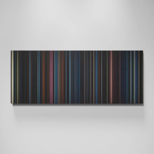 Harry Potter and the Order of the Phoenix movie canvas wall art - color palette print