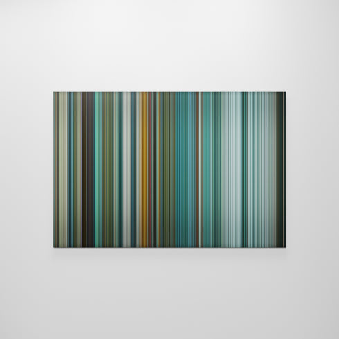 Teenage Mutant Ninja Turtles Frome