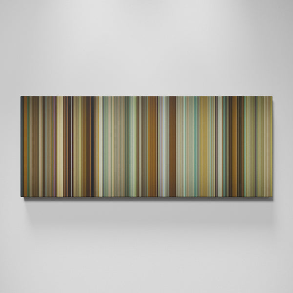 Front view of Bridget Jones's Diary Frome