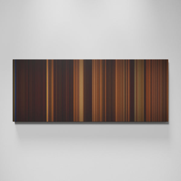 Front view of How I Met Your Mother: The Pineapple Incident Frome