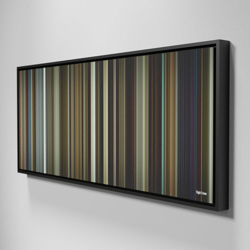 Side view of Framed Buff's of Flight Frome on the wall