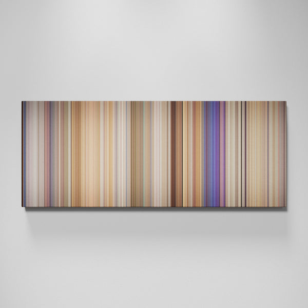 Front view of White Chicks Frome