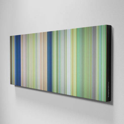 Side view of Buff's of The Jungle Book Frome on the wall