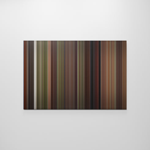 Robin Hood: Men in Tights Frome