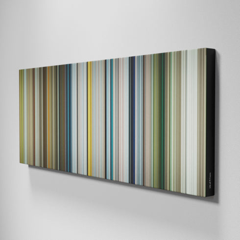 Side view of Buff's of Life of Pi Frome on the wall