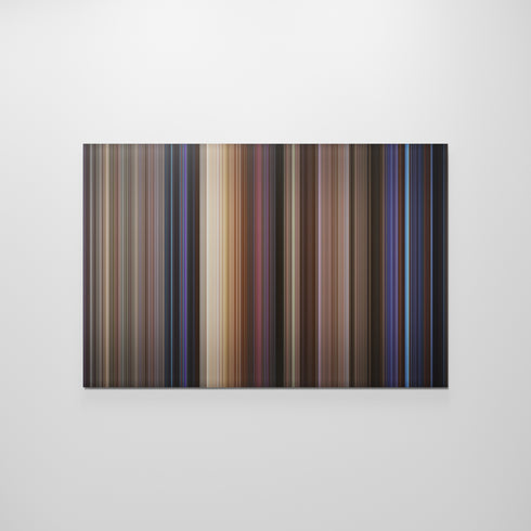 She's All That movie canvas art - framed wall print