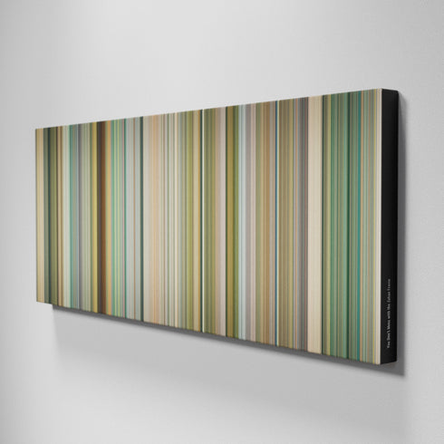 Side view of Buff's of You Don't Mess with the Zohan Frome on the wall