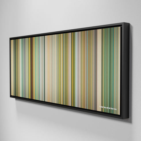 Side view of Framed Buff's of You Don't Mess with the Zohan Frome on the wall