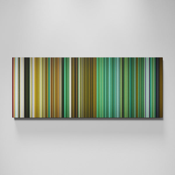 Front view of Avatar: The Last Airbender - The Crossroads of Destiny Frome