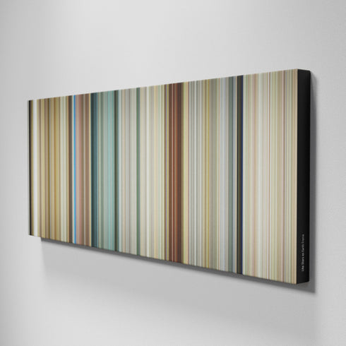 Like Stars on Earth movie canvas art - framed wall print