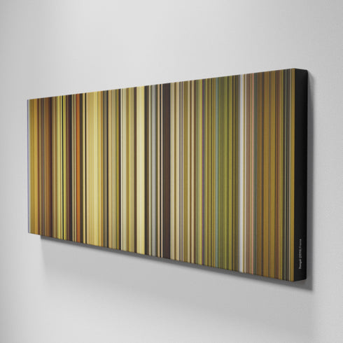 Side view of Buff's of Dangal Frome on the wall