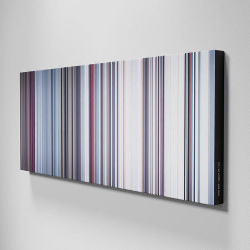 Side view of Buff's of Taylor Swift - Shake It Off Frome on the wall