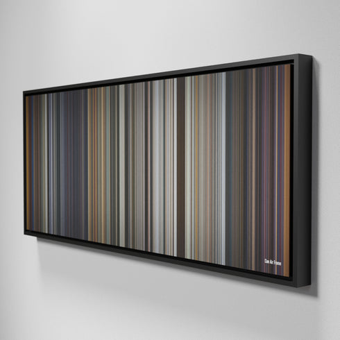 Side view of Framed Buff's of Con-Air Frome on the wall