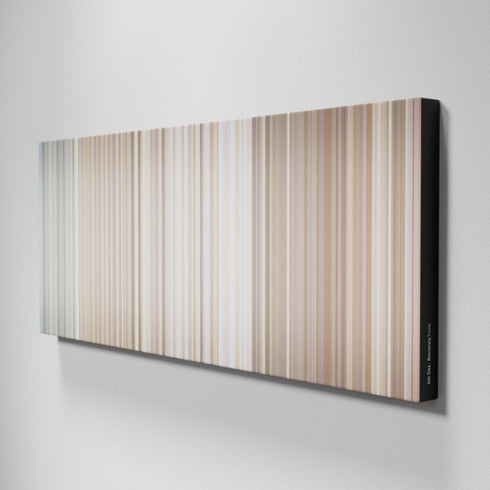 Side view of Buff's of JoJo-Siwa-Boomerang Frome on the wall