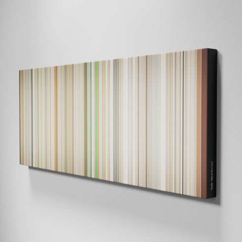 Side view of Buff's of Camilo-Vida-de-Rico Frome on the wall