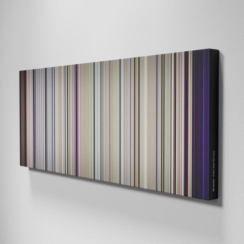 Side view of Buff's of MC-Hammer-U-Cant-Touch-This Frome on the wall