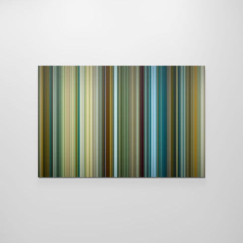 Front view of pathaan Frome poster on the wall