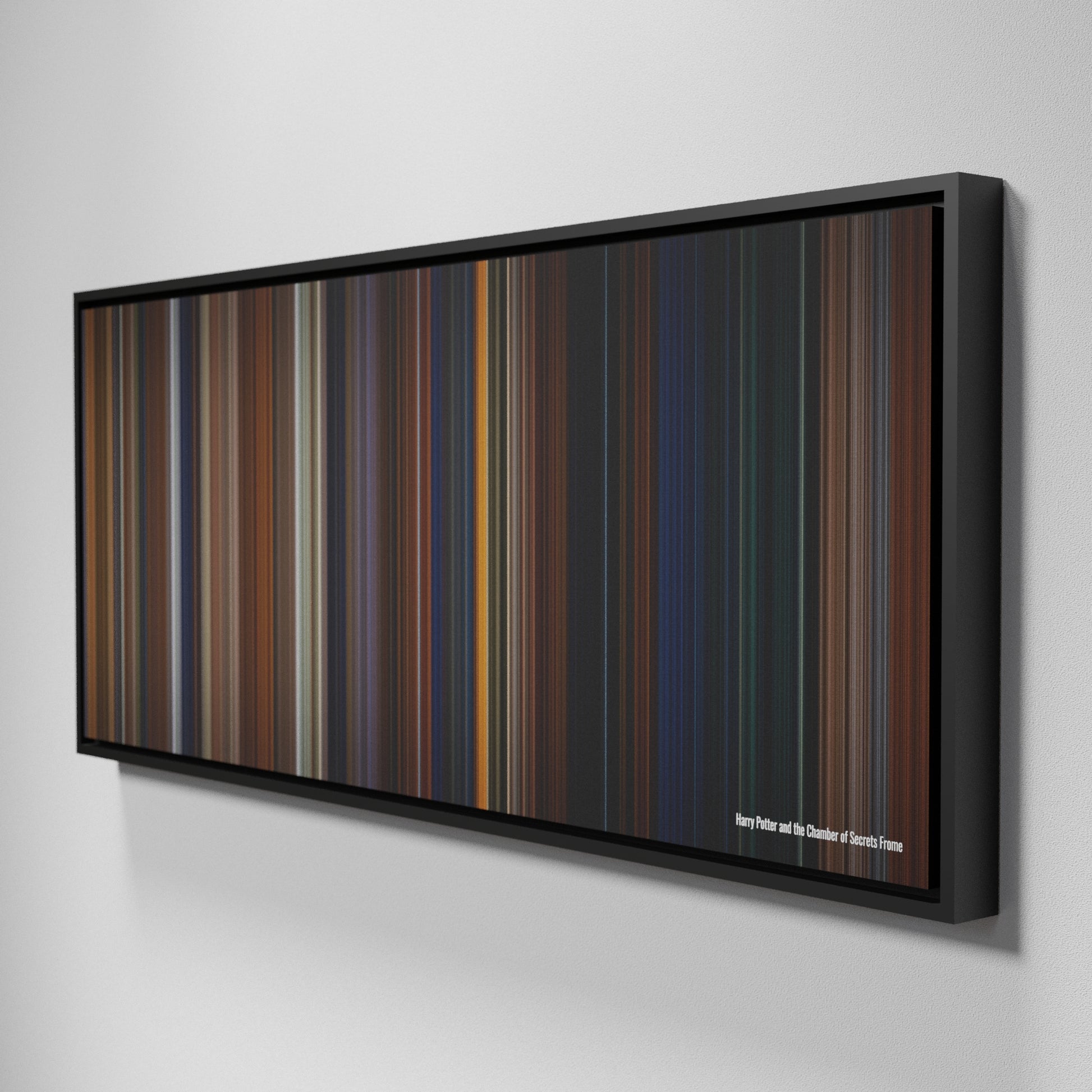 Side view of Framed Buff's of Harry Potter and the Chamber of Secrets Frome on the wall