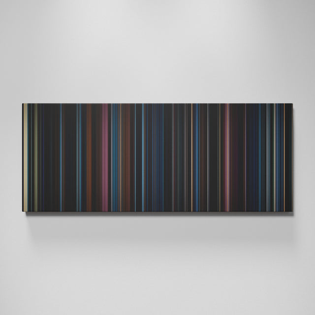 Harry Potter and the Order of the Phoenix movie canvas wall art - color palette print