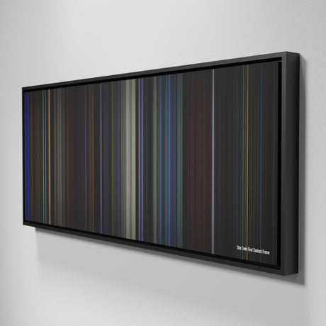 Star Trek: First Contact movie canvas art - framed wall print