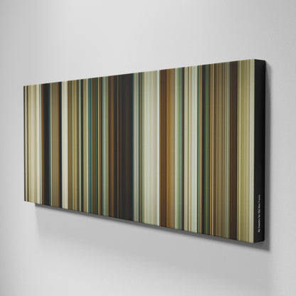 Side view of Buff's of No Country for Old Men Frome on the wall