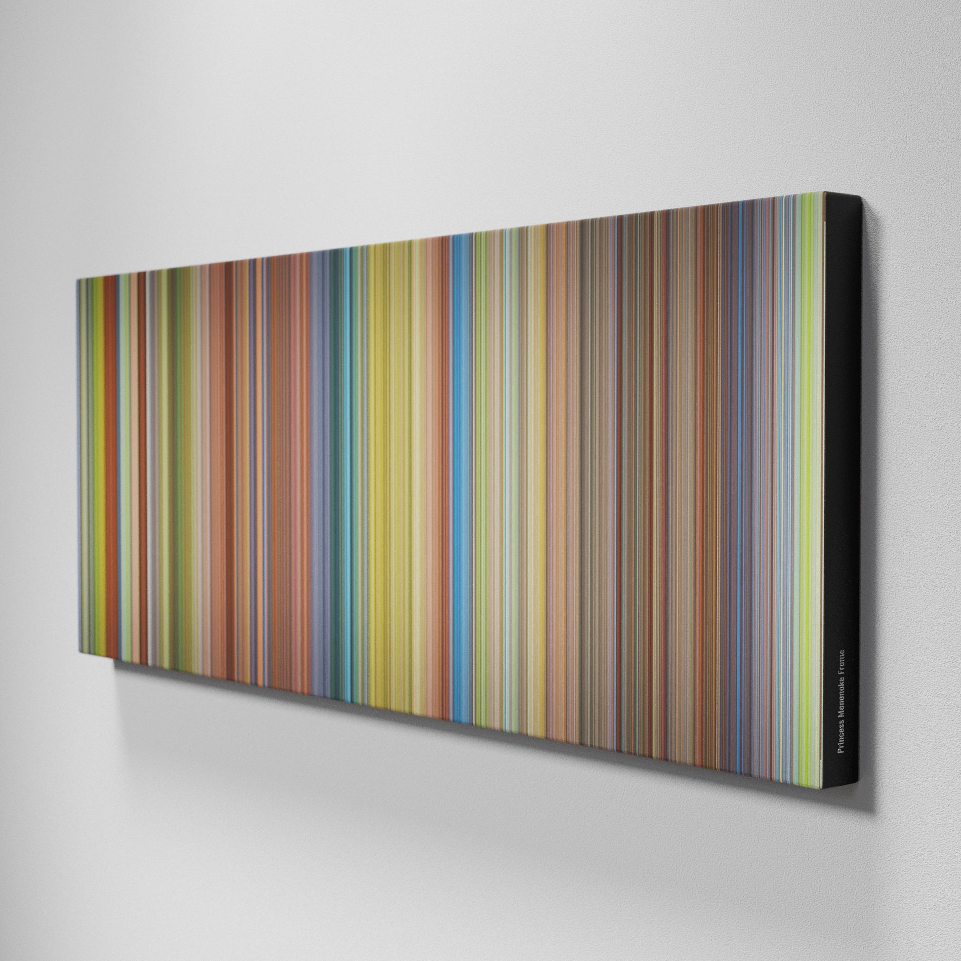 Side view of Buff's of Princess Mononoke Frome on the wall