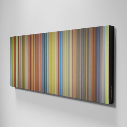 Side view of Buff's of Princess Mononoke Frome on the wall