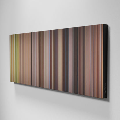 Side view of Buff's of A Knight's Tale Frome on the wall