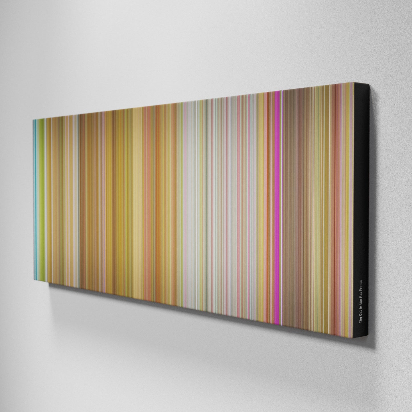 Side view of Buff's of The Cat in the Hat Frome on the wall