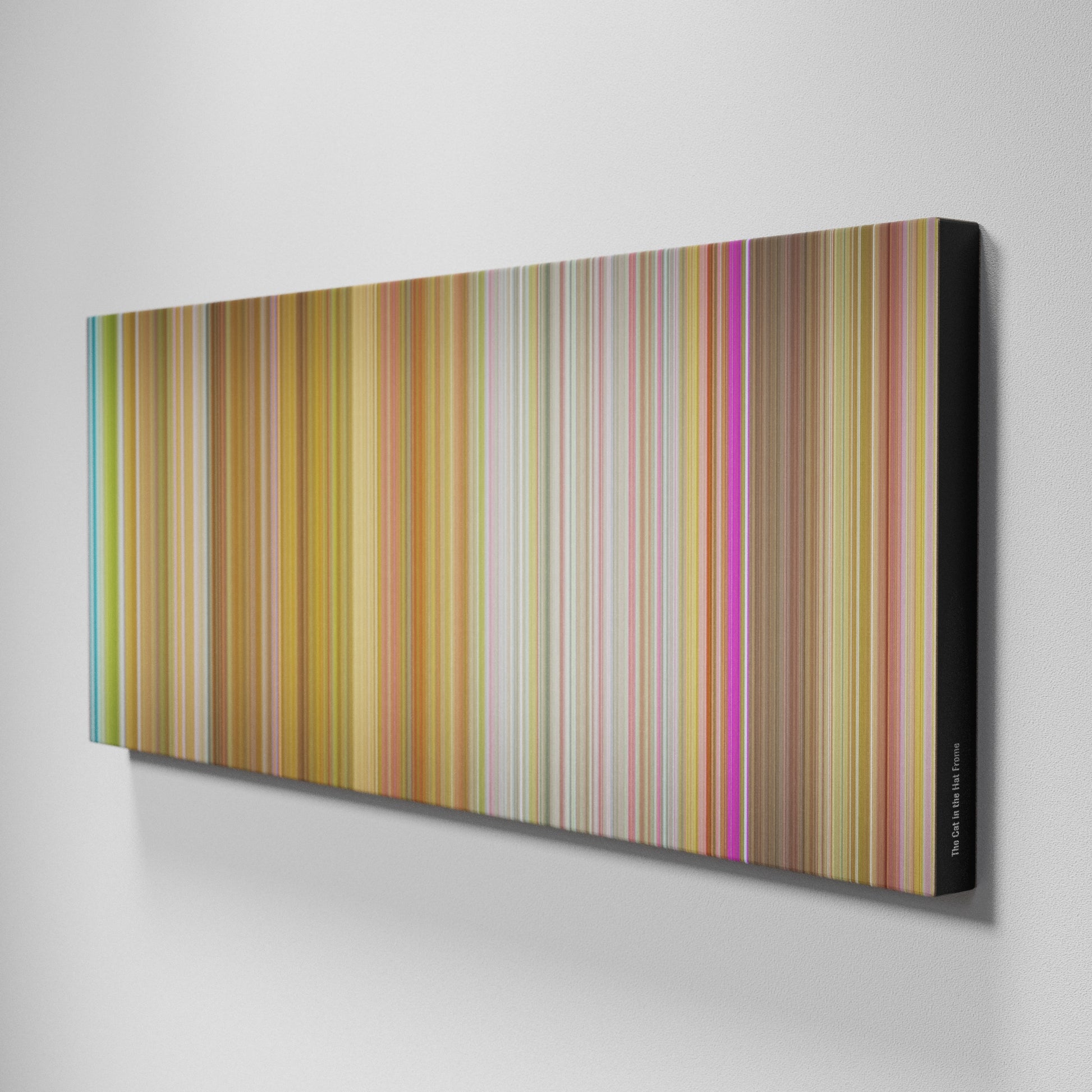 Side view of Buff's of The Cat in the Hat Frome on the wall