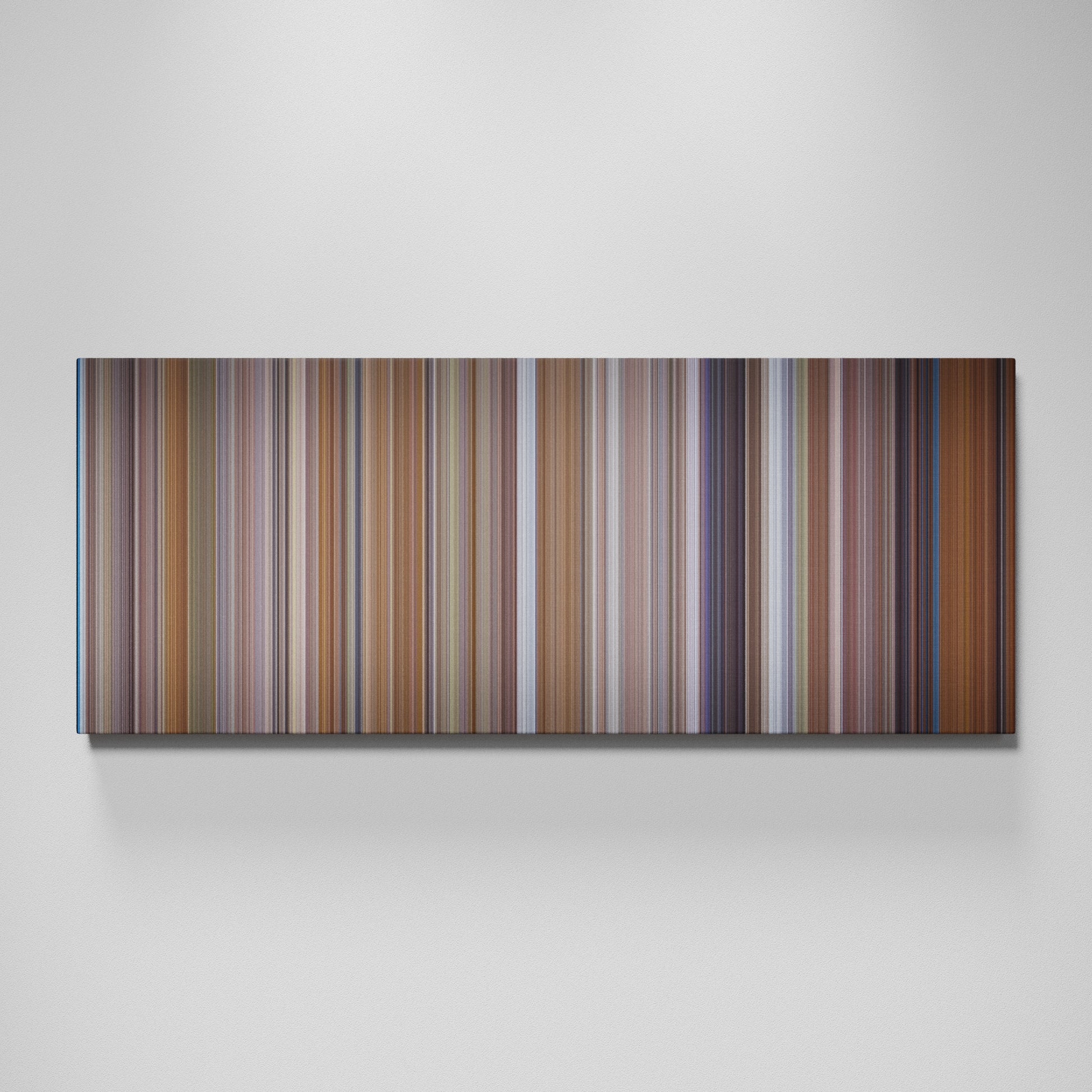 Front view of The Princess Diaries Frome