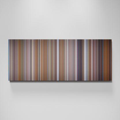 Front view of The Princess Diaries Frome