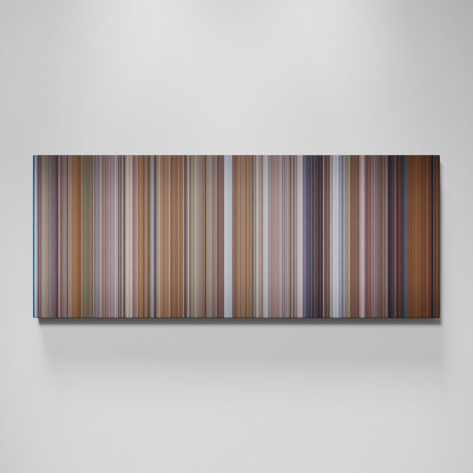 Front view of The Princess Diaries Frome