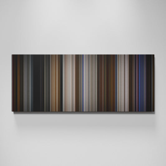 Front view of Ronin Frome