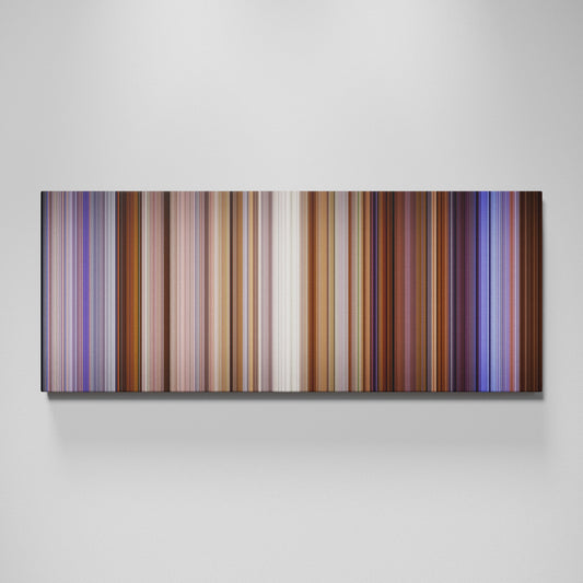 Front view of The Lizzie McGuire Movie Frome