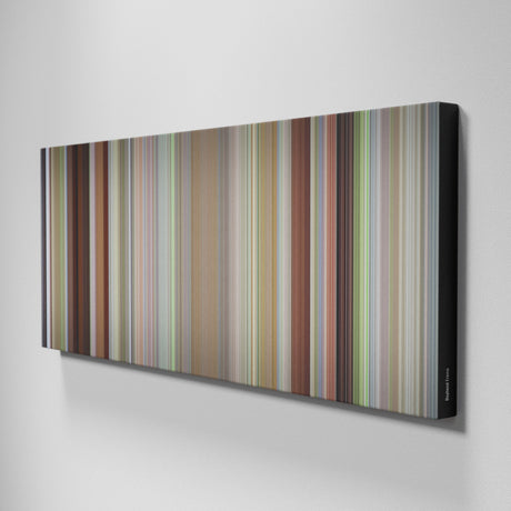 Boyhood movie canvas art - framed wall print