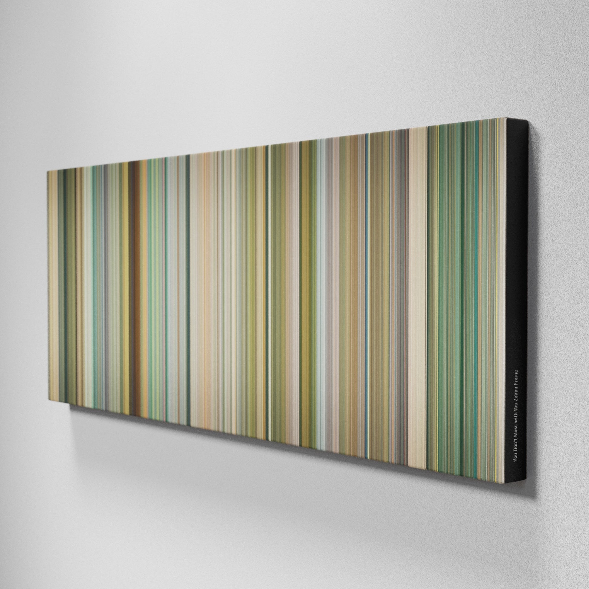 Side view of Buff's of You Don't Mess with the Zohan Frome on the wall