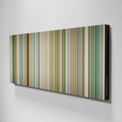 Side view of Buff's of You Don't Mess with the Zohan Frome on the wall