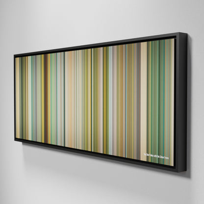 Side view of Framed Buff's of You Don't Mess with the Zohan Frome on the wall