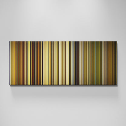 Front view of Dangal Frome