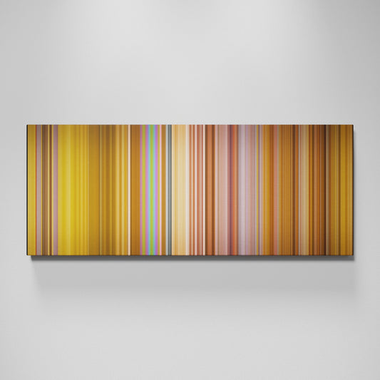 Front view of Cyndi-Lauper-Girls-Just-Want-To-Have-Fun Frome