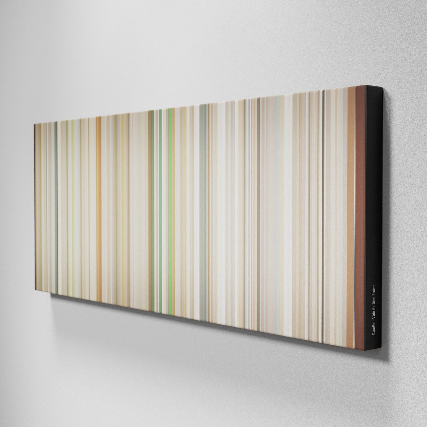 Side view of Buff's of Camilo-Vida-de-Rico Frome on the wall