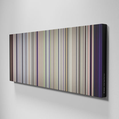 Side view of Buff's of MC-Hammer-U-Cant-Touch-This Frome on the wall