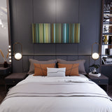 Pathaan movie canvas in bedroom - wall art display